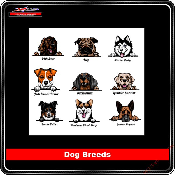 Dog Breeds 2