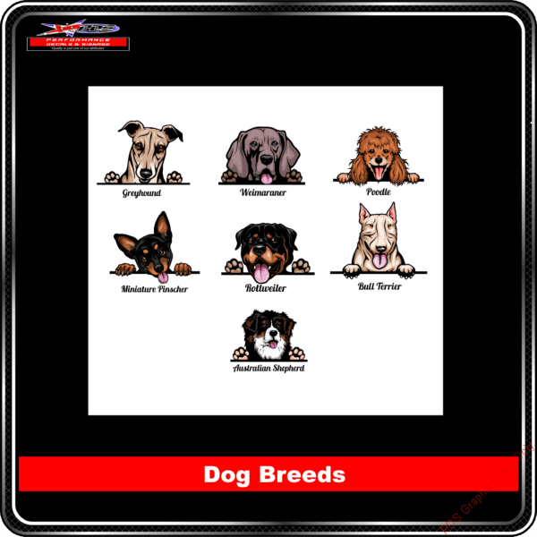 Dog Breeds 3