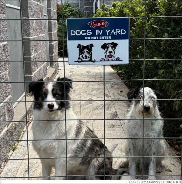 Dog Sign - Dogs in Yard Do Not Enter_